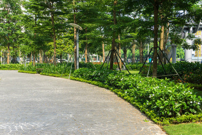 大城市现代公寓楼绿树成荫的城市步道。