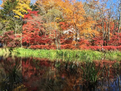 亚洲轻井泽久白池美丽的秋景