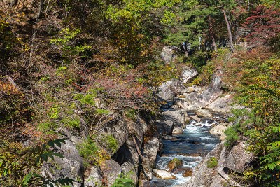 三叶峡秋叶景色在阳光明媚的日子里观赏