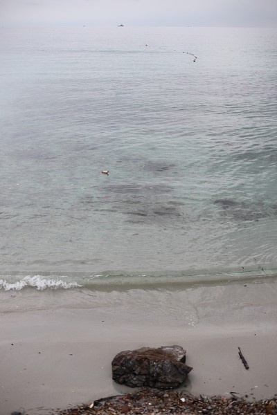海滩