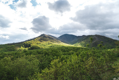 美丽的风景山脉在田纳西州