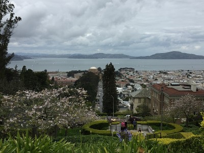 里昂街台阶，太平洋高地，旧金山，加州，美国
