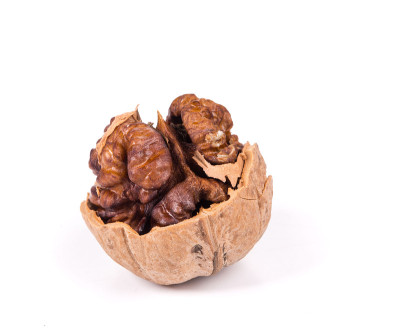 破碎的核桃。