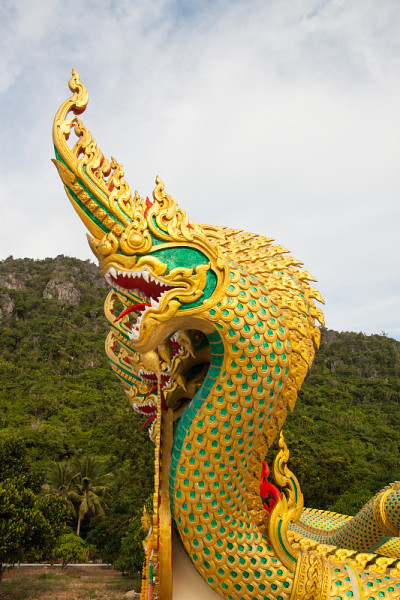 龙