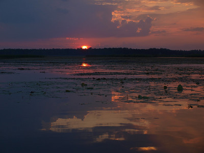 夕阳在湖边，太阳藏在树后