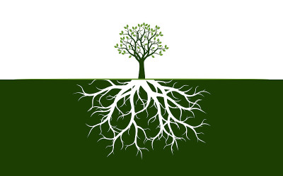有叶子和根的树。矢量插图。植物和花园。