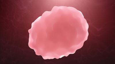暗红色背景上的t细胞或白细胞。感染与免疫缺陷概念