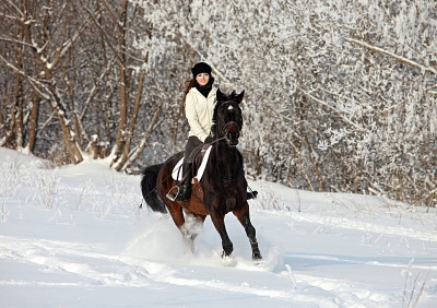 漂亮的女骑手骑着马穿过厚厚的积雪