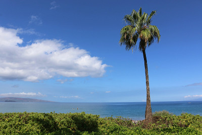 Wailea海滩