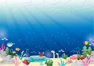 海洋生物的框架