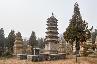 中国少林寺的宝塔森林