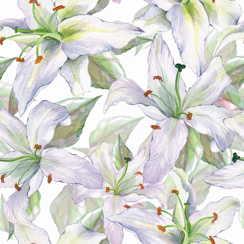 图案与百合4。花卉无缝的背景
