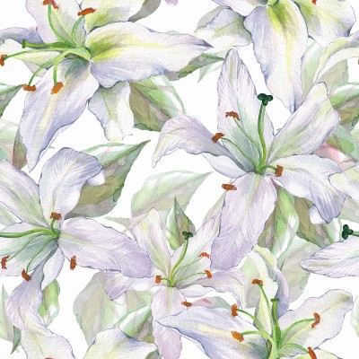 图案与百合4。花卉无缝的背景