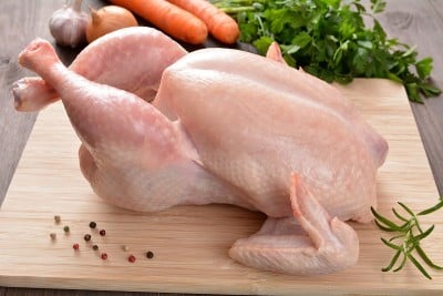 生鸡肉