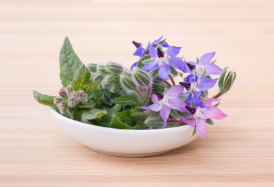 碗starflower