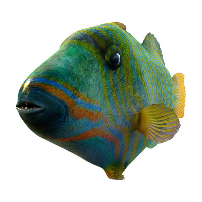 3D插图橙色列触发器鱼在白色