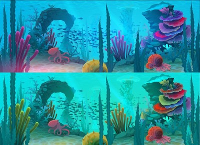 海洋或海底背景，鱼，礁