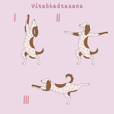 图解virabhadrasana姿势指导-动物瑜伽