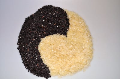 黑白大米中的阴阳在白色的背景下