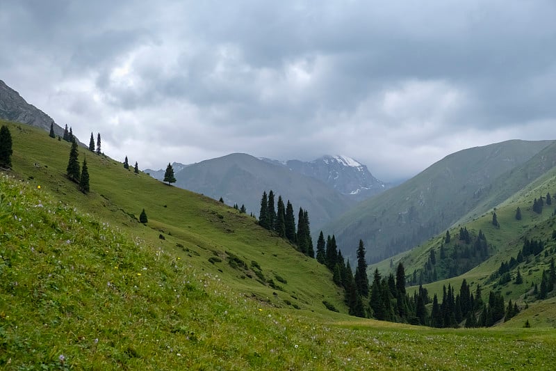 青山谷地，云雾缭绕。冒险旅行。户外景观。暑假旅游概念。哈萨克斯坦山脉，特克斯河谷。