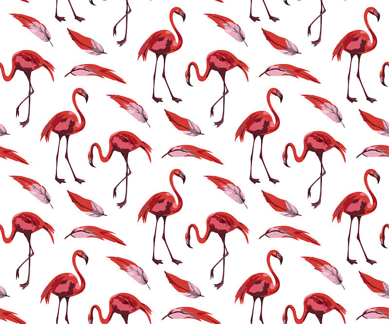 Vector flamingo pattern. Ethnic seamless pattern o