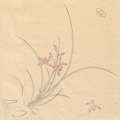 中国米纸