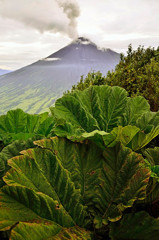 Tungurahua火山、厄瓜多尔