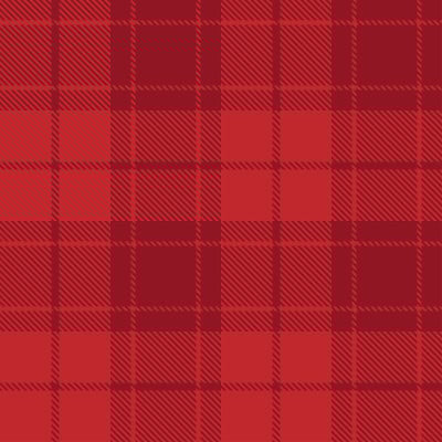 Tartan plaid seamless pattern red line fabric text