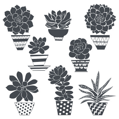 Graphic set with succulents in pots, isolated on w