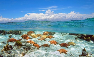 蔚蓝的天空和水下的海星