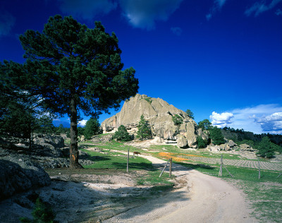 Carrettera