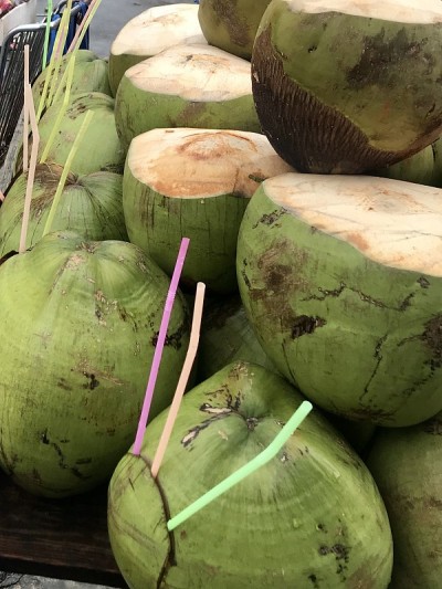 椰子在古巴