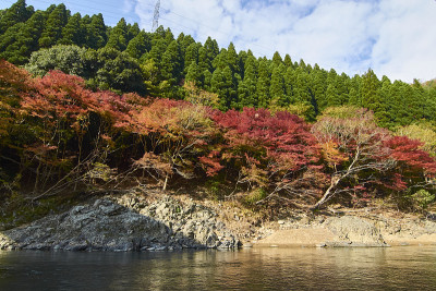 岚山秋景