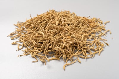 侧观草本金银花或金银花或金银花花蕾