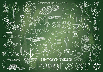 生物科学涂鸦手绘元素。科教主题。