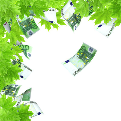 金钱树