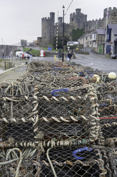 Conwy Quayside