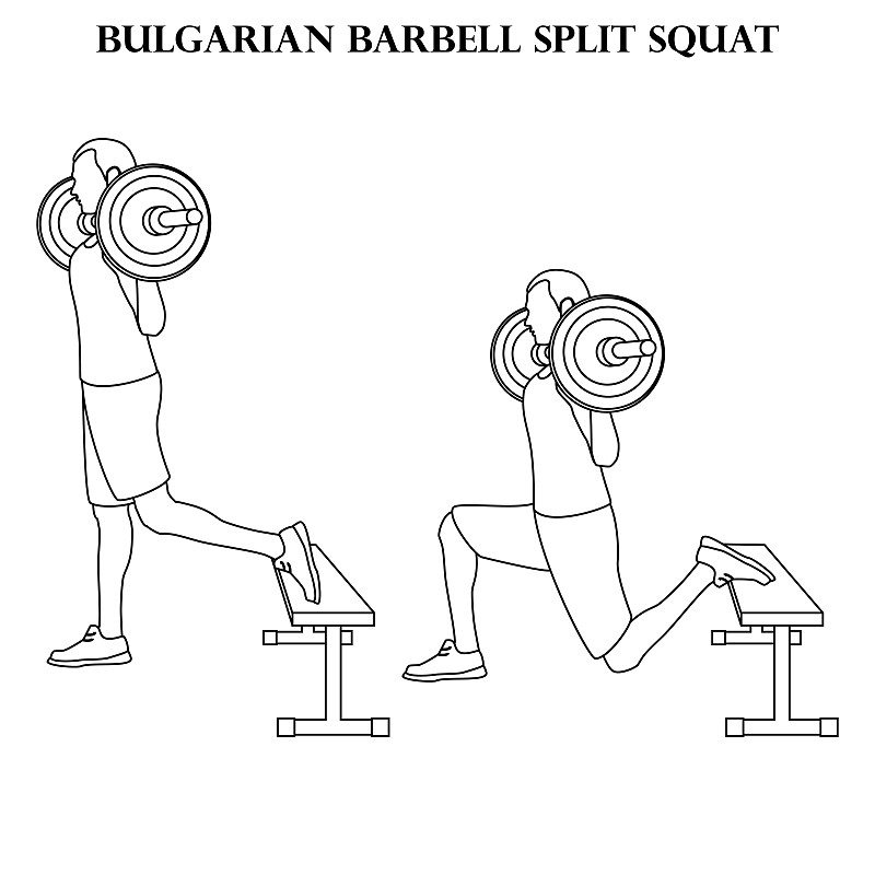 保加利亚杠铃分开下蹲锻炼力量锻炼矢量插图大纲