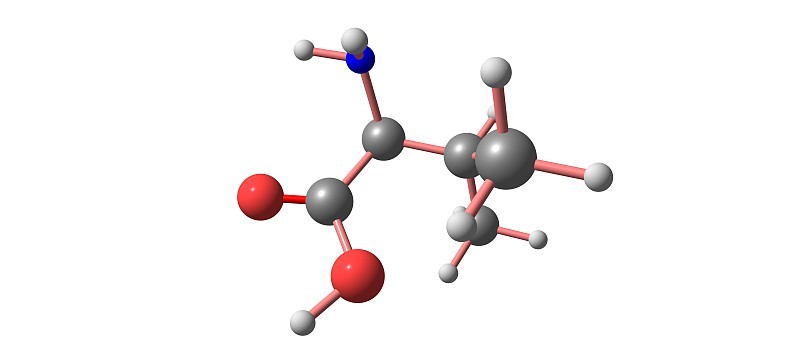 缬氨酸分子结构孤立在白色上