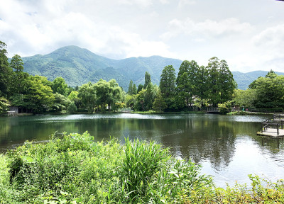 日本大分玉富的山和金林子湖