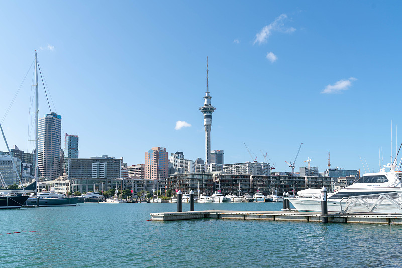 天空塔在奥克兰和海港