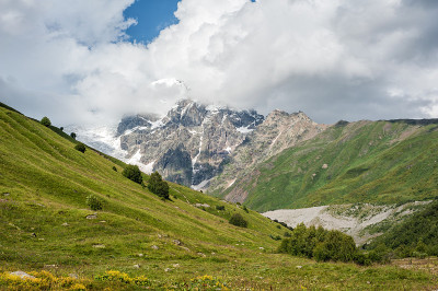 高山草甸和落基山脉