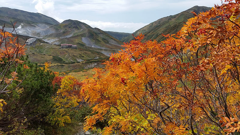 泰特山