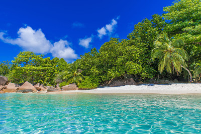 安塞拉齐奥-海滩在塞舌尔，岛Praslin