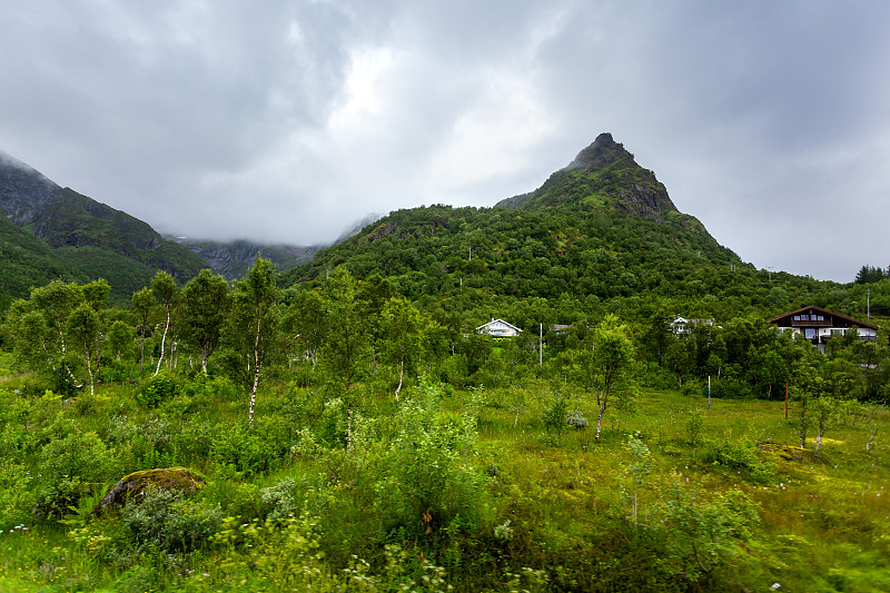 美丽的斯堪的纳维亚风景，草甸和山脉。罗弗敦群岛,挪威。