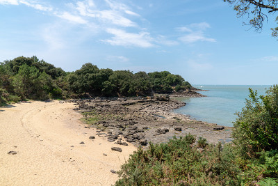 沙漠无人沙滩的艾克斯岛在夏天法国