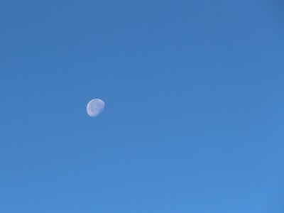 白天天空中古老的月亮的景象