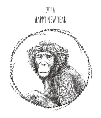 2016年中国猴年。