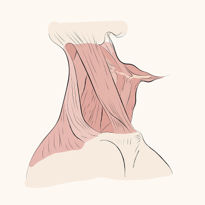 脖子
