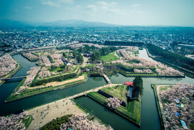 春天，从日本北海道博馆五楼塔眺望五楼楼护城河边的樱花树。